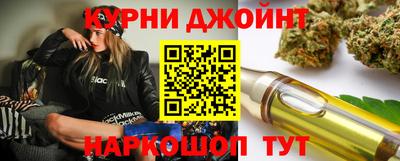 индика Шахты